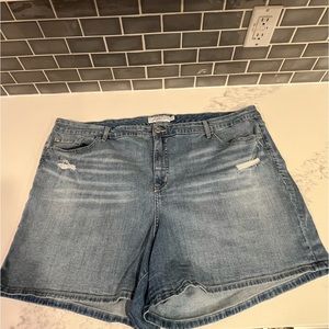 Torrid Women’s Distressed Jean Shorts